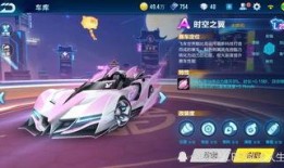 飞车天鹅爆料视频大全最新,视频大全揭秘精彩瞬间