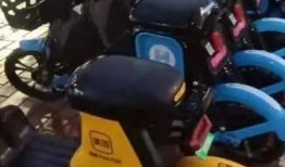 翔安区共享单车最新爆料,最新爆料揭示行业变革趋势